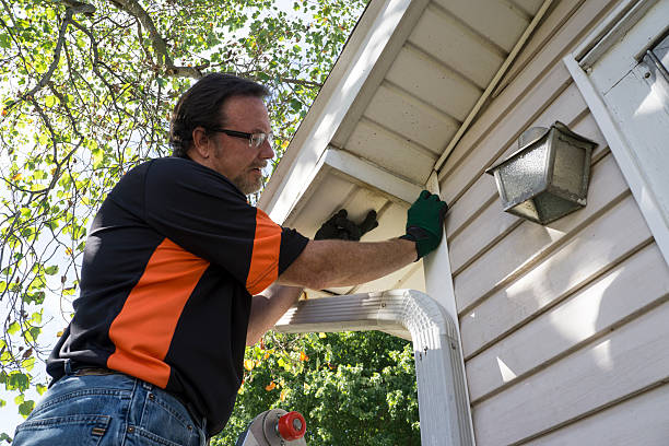 Best Insulated Siding Installation  in Auburn, NE